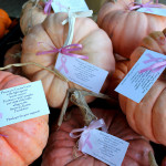 Calabazas rosadas en contra del cáncer