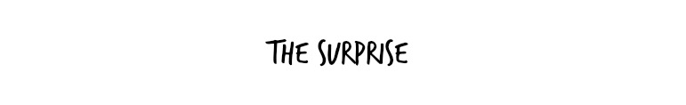 THE SURPRISE